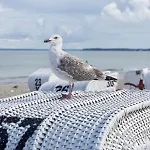 Apartmán Strandglueck *