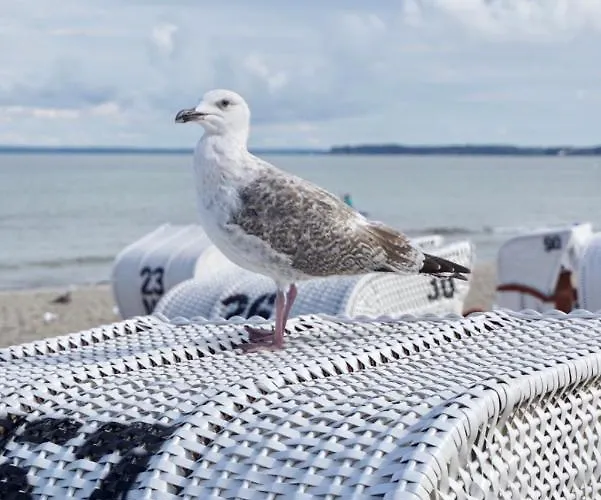 Διαμέρισμα Strandglueck *